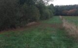 Terrain à vendre à Orléat — Vue dégagée — photo 1