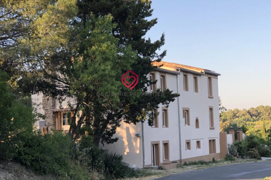 Maison à vendre à Arzens — Vue montagne — photo 37