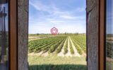 Maison à vendre à Carcassonne — Vue vignes — photo 10