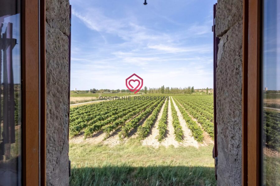 Maison à vendre à Carcassonne — Vue vignes — photo 10