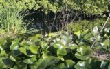 Maison à vendre à Albi — Vue nature — photo 18
