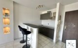 Appartement à vendre à Ducos — Vue mer — photo 6