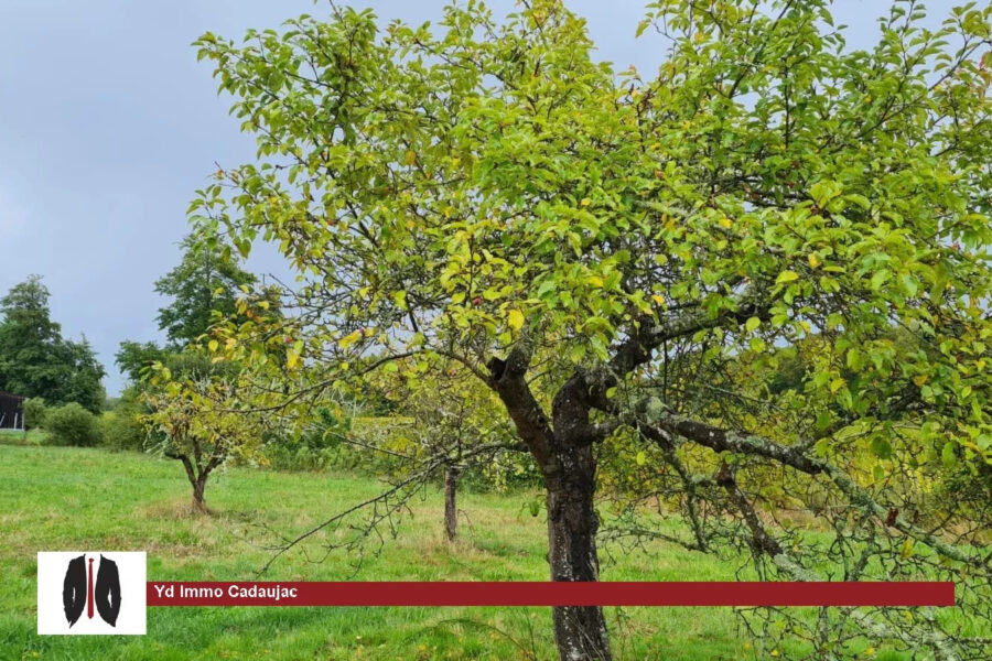 Terrain à vendre à La Brède — Vue dégagée — photo 3