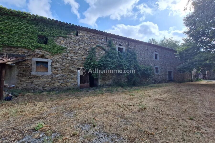 Maison à vendre à Saint-Amans-Valtoret — Vue montagne — photo 20