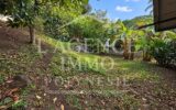 Maison à vendre à Haapiti — Vue nature — photo 12