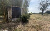 Maison à vendre à Montpeyroux — Vue nature — photo 27