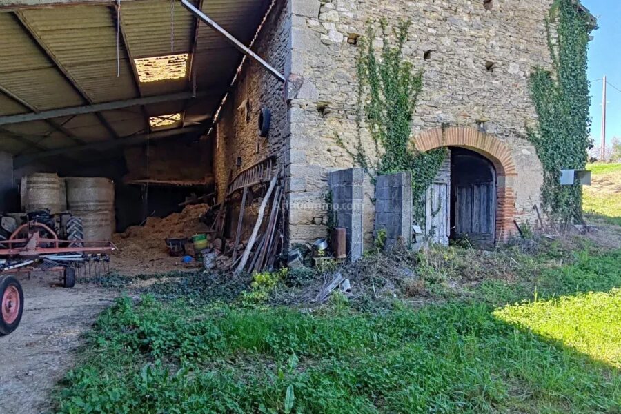 Maison à vendre à Florentin — Vue nature — photo 36