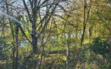 Maison à vendre à Limanton — Vue montagne — photo 4