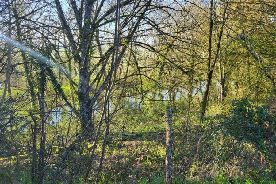 Maison à vendre à Limanton — Vue montagne — photo 4