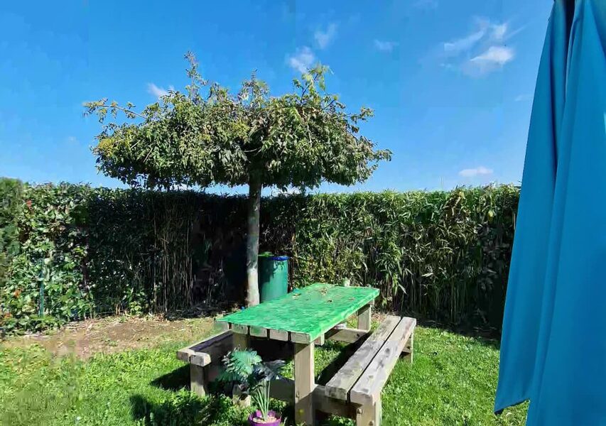 Maison à vendre à Sainte-Croix-en-Plaine — Vue parc & jardin — photo 13
