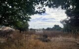 Maison à vendre à Marsala — Vue nature — photo 1