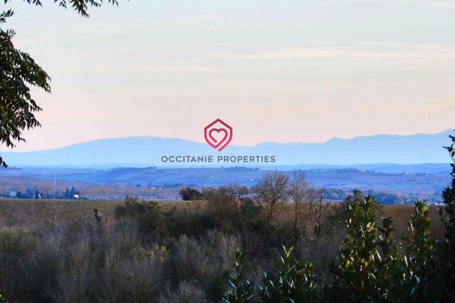 Maison à vendre à Villefranche-de-Lauragais — Vue montagne — photo 36