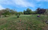 Maison à vendre à Labruguière — Vue montagne — photo 1
