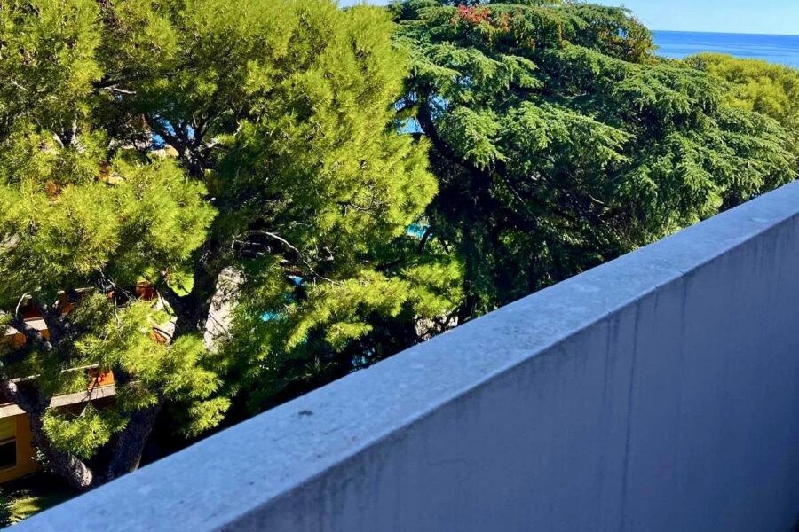 Appartement à vendre à Cap-d&rsquo;Ail — Vue mer — photo 5