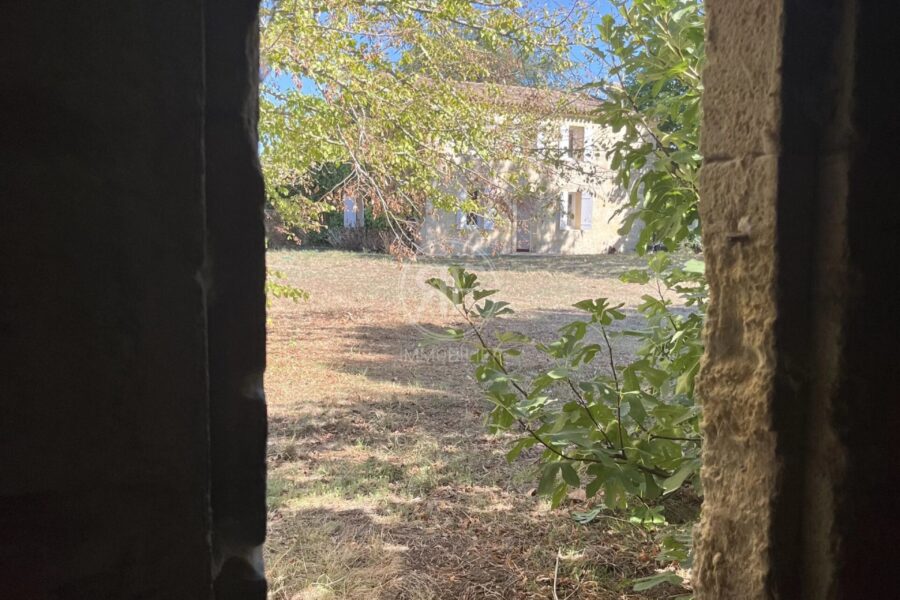 Maison à vendre à Les Artigues-de-Lussac — Vue nature — photo 30