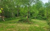 Maison à vendre à Onlay — Vue nature — photo 12