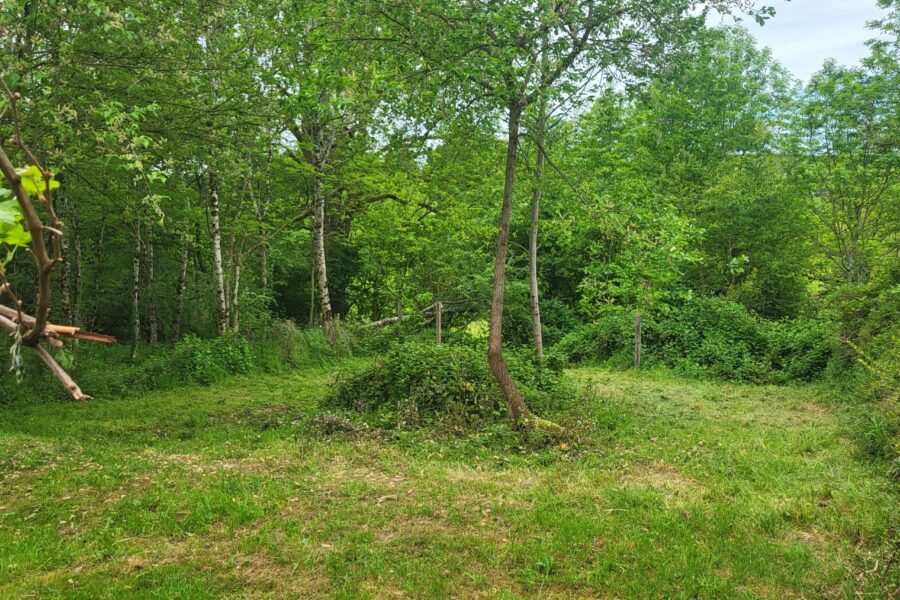 Maison à vendre à Onlay — Vue nature — photo 12