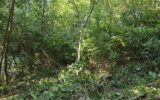 Terrain à vendre à Waterloo — Vue dégagée — photo 11