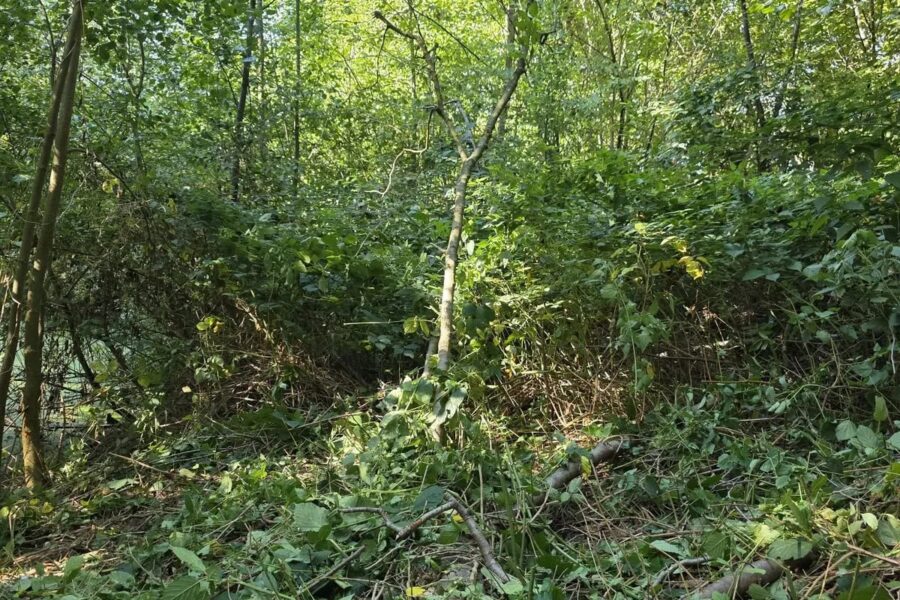 Terrain à vendre à Waterloo — Vue dégagée — photo 11