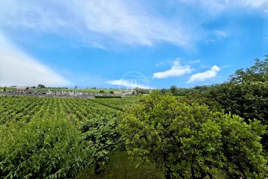 Maison à vendre à Puisseguin — Vue sur la ville — photo 17