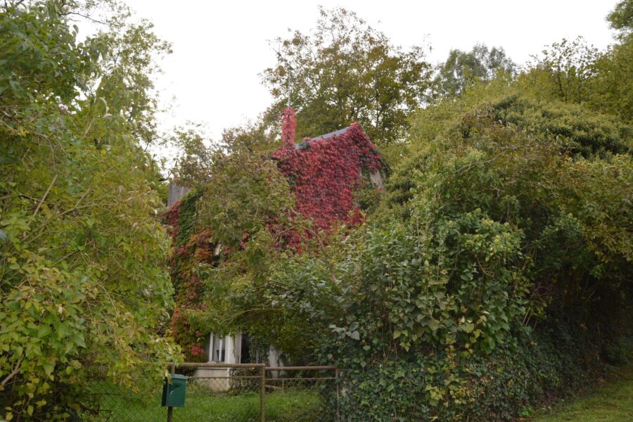 Maison à vendre à Biches — Vue montagne — photo 15