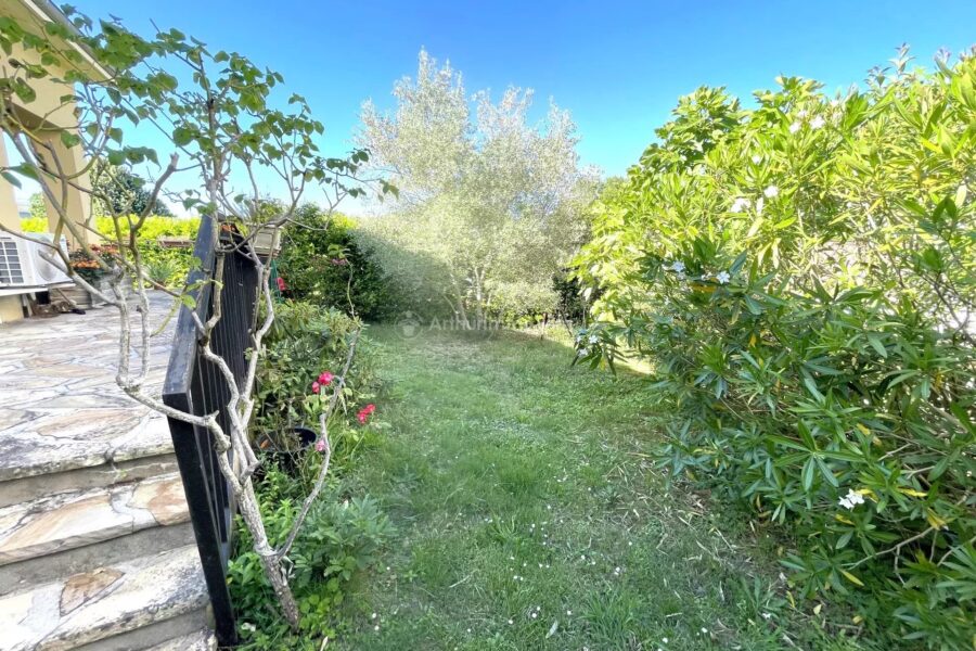 Maison à vendre à Albi — Vue parc & jardin — photo 11