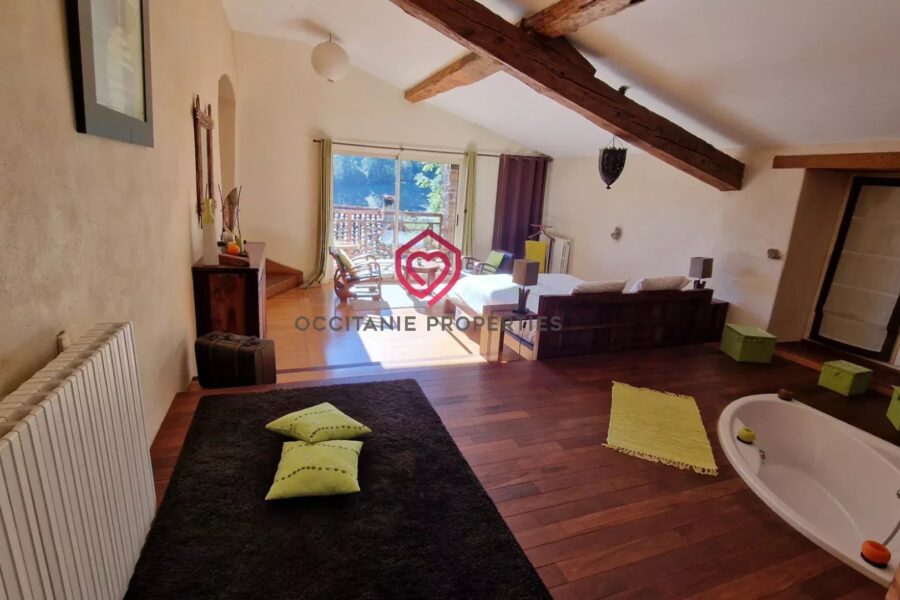 Maison à vendre à Esplas-de-Sérou — Vue montagne — photo 9