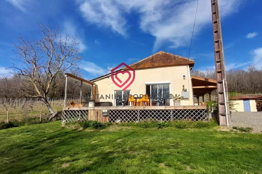 Maison à vendre à Riscle — Vue montagne — photo 6