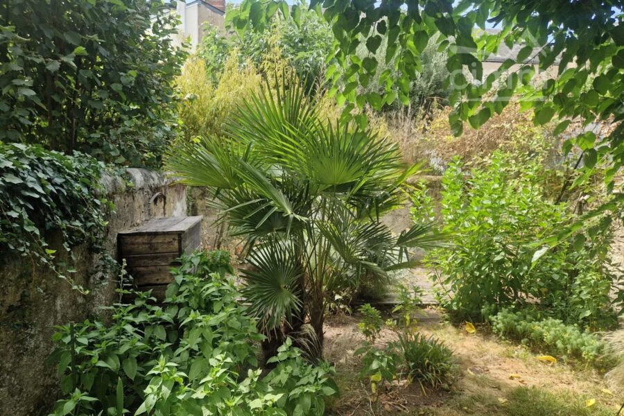 Maison à vendre à Tours — Vue parc & jardin — photo 13