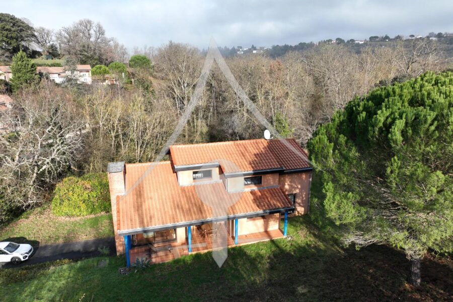 Maison à vendre à Vieille-Toulouse — Vue montagne — photo 6