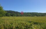 Maison à vendre à Mirepoix — Vue nature — photo 25