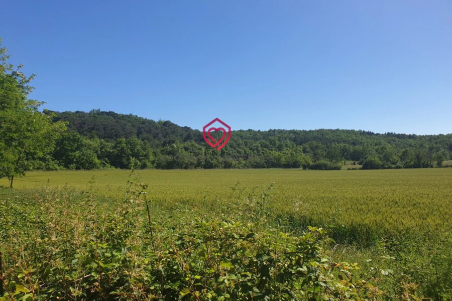 Maison à vendre à Mirepoix — Vue nature — photo 25