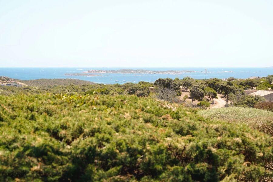 Maison en location vacances à Bonifacio — Vue mer — photo 6