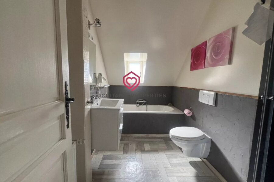 Maison à vendre à Saint-Béat — Vue montagne — photo 53