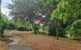 Maison à vendre à Mirande — Vue nature — photo 6