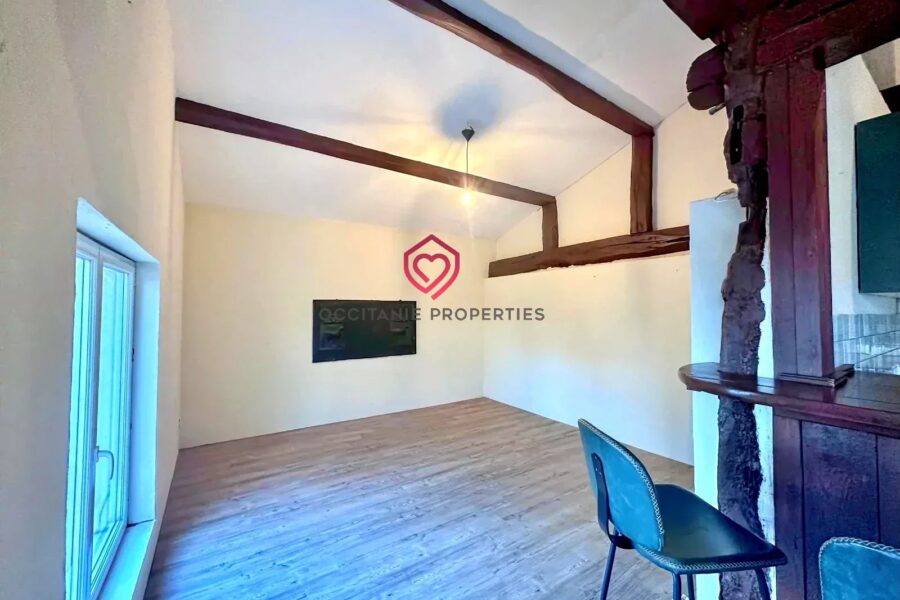 Maison à vendre à Riscle — Vue montagne — photo 13