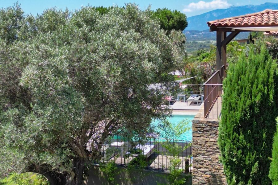 Maison à vendre à Sainte-Lucie-de-Porto-Vecchio — Vue mer — photo 3