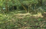 Terrain à vendre à Waterloo — Vue dégagée — photo 1