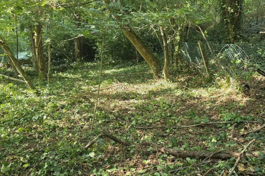 Terrain à vendre à Waterloo — Vue dégagée — photo 1