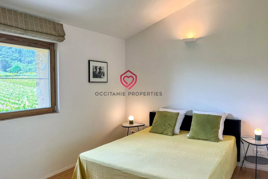 Maison à vendre à Rieux-Minervois — Vue montagne — photo 29