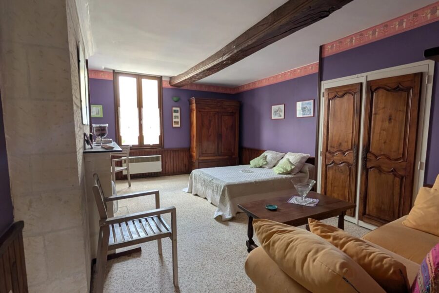Maison à vendre à Chouzé-sur-Loire — Vue nature — photo 11