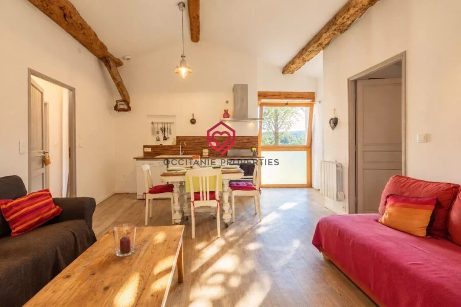 Maison à vendre à Limoux — Vue montagne — photo 25