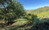 Appartement à vendre à Bourbonne-les-Bains — Vue nature — photo 28