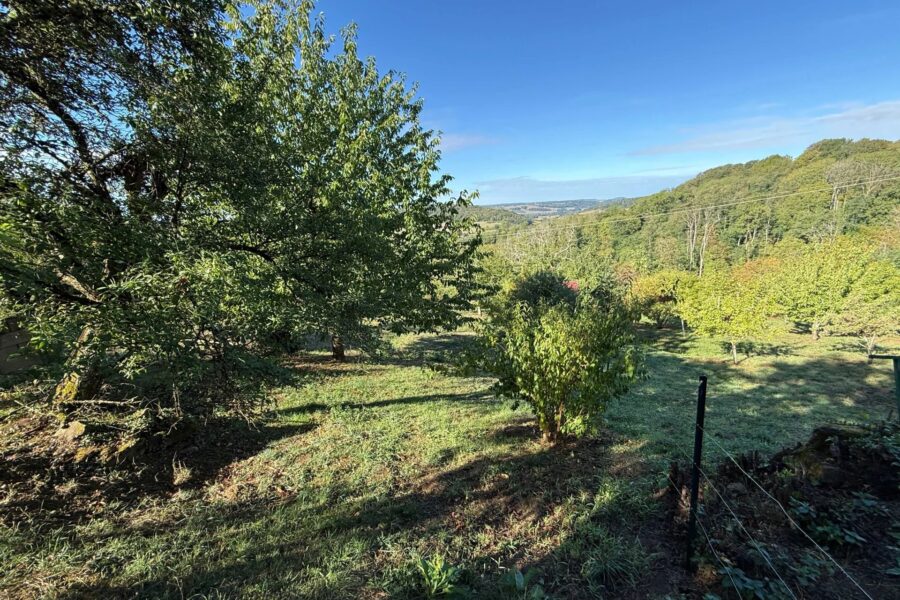 Appartement à vendre à Bourbonne-les-Bains — Vue nature — photo 28