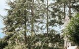 Maison à vendre à Roquefort-les-Pins — Vue nature — photo 19