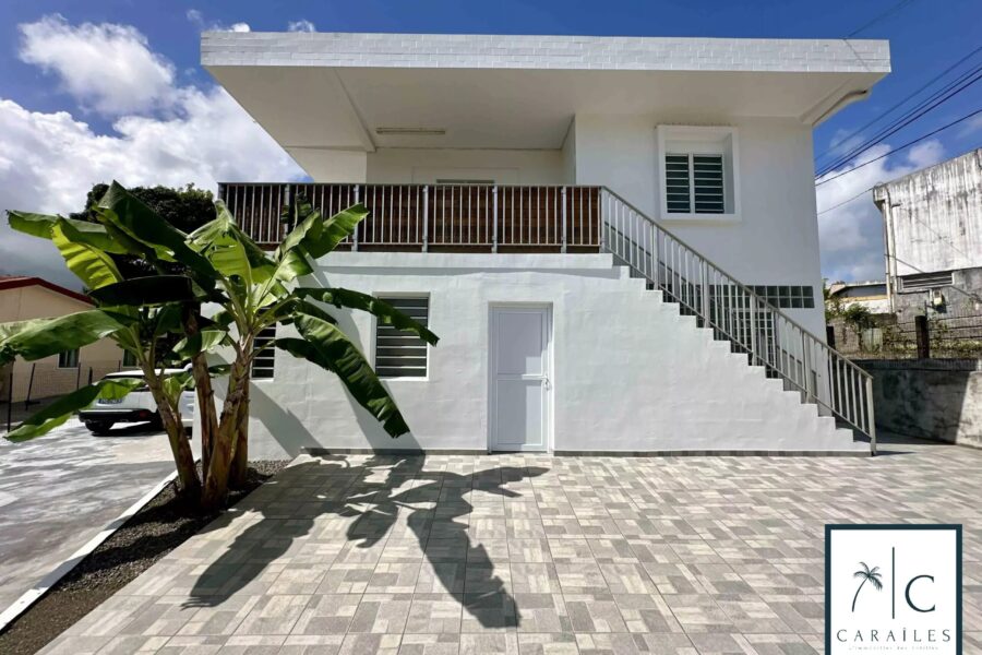 Maison à vendre à Le Morne-Rouge — Vue nature — photo 3