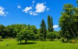 Maison à vendre à Callian — Vue nature — photo 19