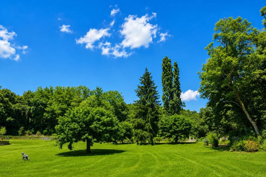 Maison à vendre à Callian — Vue nature — photo 19