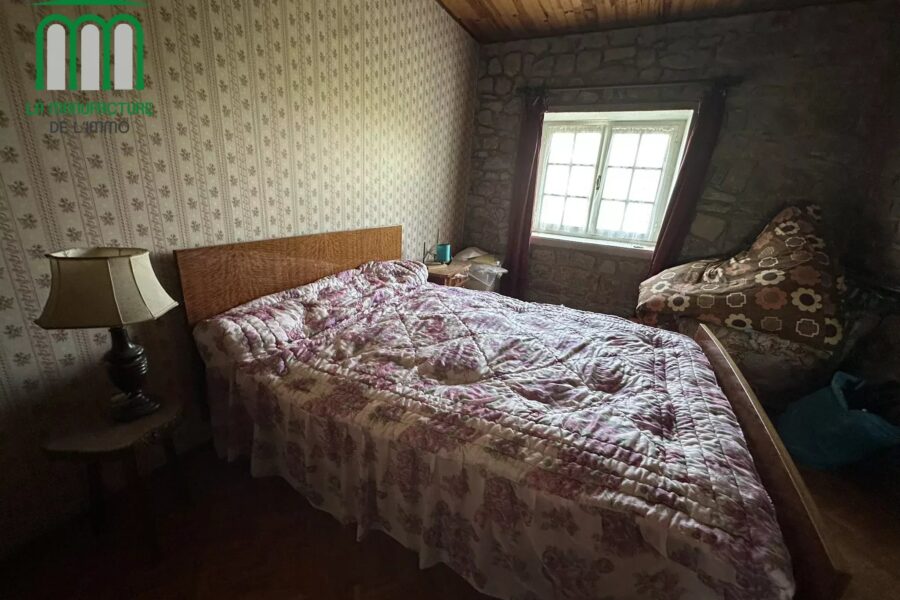 Maison à vendre à Lapte — Vue nature — photo 10
