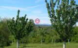 Maison à vendre à Castelnaudary — Vue montagne — photo 1